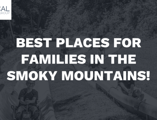 Best Places in the Smoky Mountains for Families!