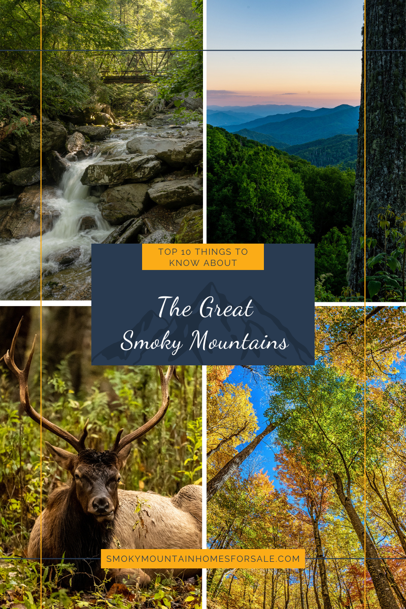 Top 10 things to know about the smoky mountains