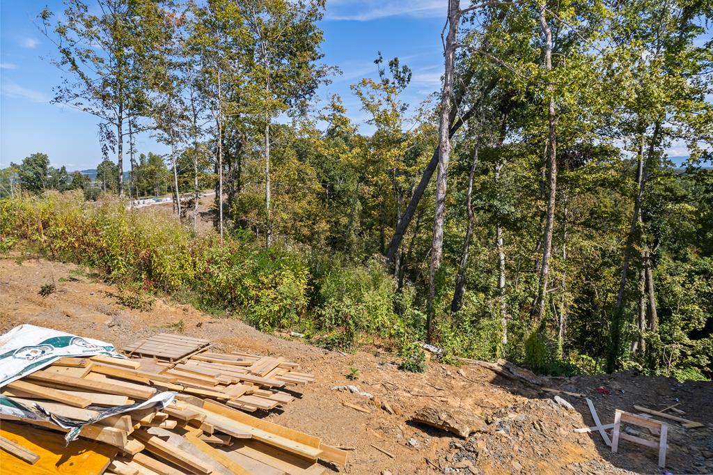 265775 - Lot 45 Reedmont Way - Smoky Mountain Homes for Sale & Cabins for Sale