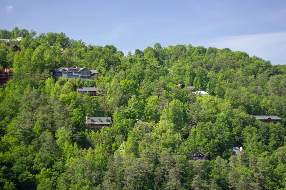Gatlinburg homes for sale: what to know about gatlinburg real estate