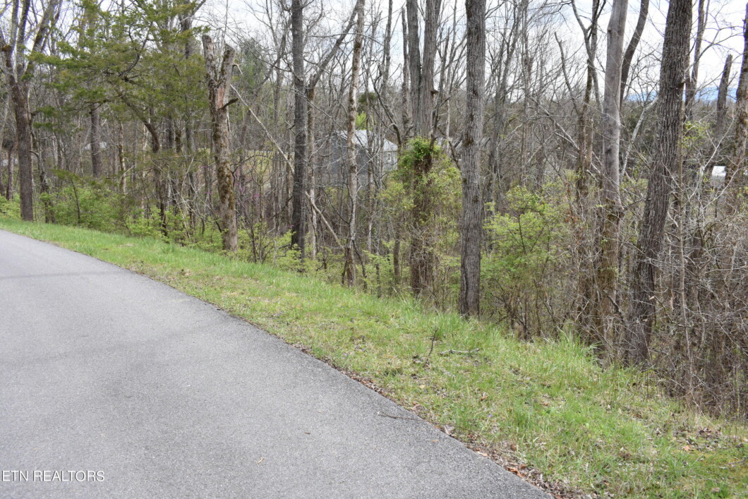 1269438 - 2450 Fawn View Drive - Smoky Mountain Homes for Sale & Cabins for Sale