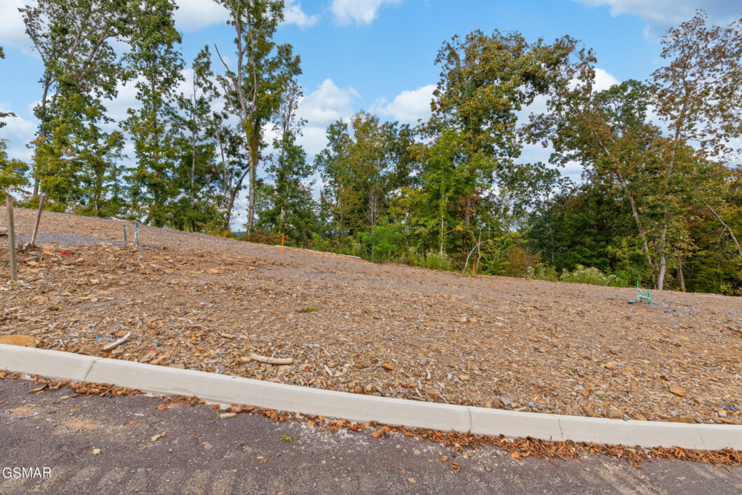 303070 - Lot 62 Reedmont Way - Smoky Mountain Homes for Sale & Cabins for Sale
