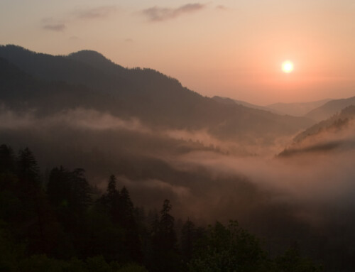 Advanced Smoky Mountain Real Estate Market Report: Q1 2025