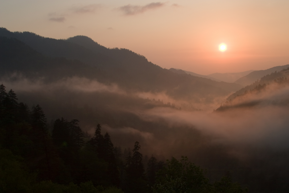 Advanced smoky mountain real estate market report: q1 2025